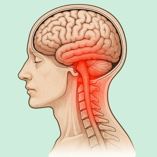 Inflammation nerveuse chronique